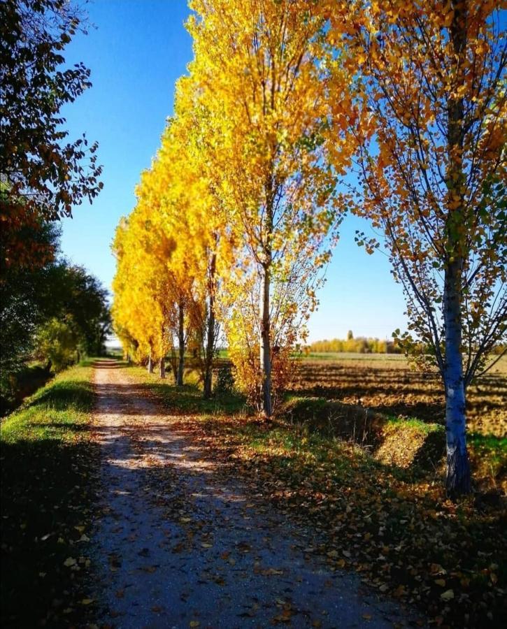 Colombera