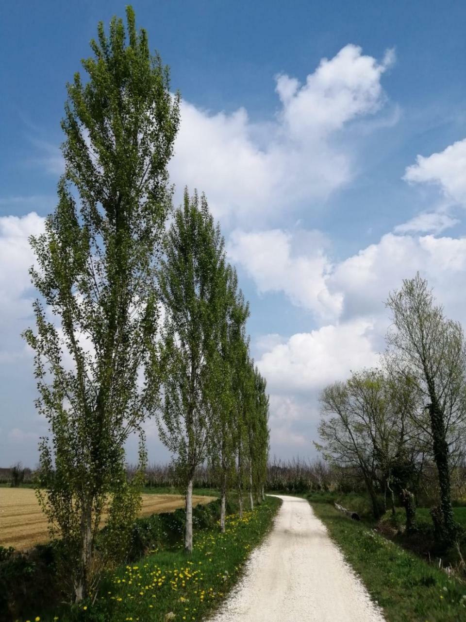 Colombera * Quarto dʼAltino